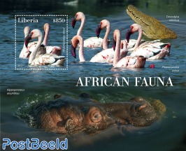 African fauna