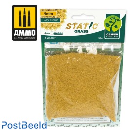Static Grass ~ Dry Grass 4mm (50g)