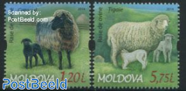 Sheep 2v