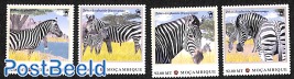 Zebra 4v