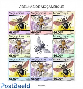 Bees of Mozambique