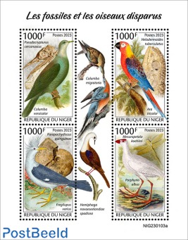 fossils and extinct birds