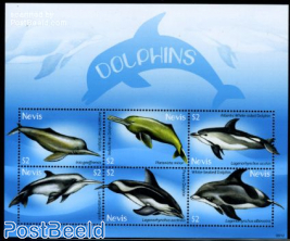 Dolphins 6v m/s