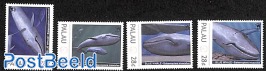 Whales 4v