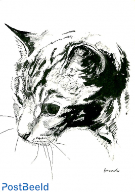 Cat, Annemarie Lieshout