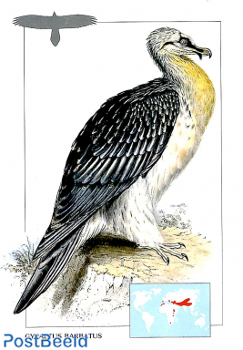 Gypaetus barbatus