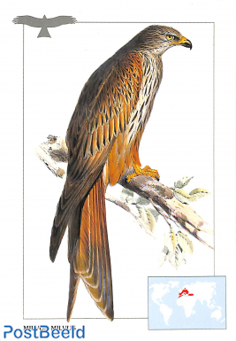 Milvus Milvus, Red kite