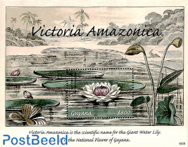 Victoria Amazonica s/s
