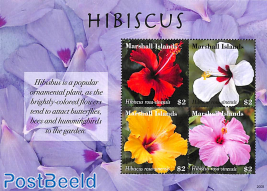 Hibiscus 4v m/s