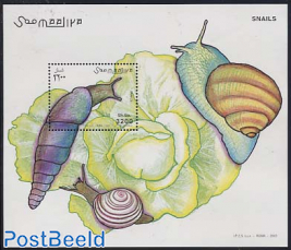 Snails s/s