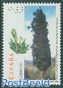 Trees , Cypresse 1v