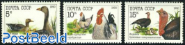 Poultry 3v