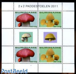 Mushrooms m/s