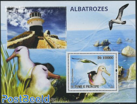 Albatross bird s/s