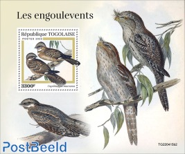 Nightjars
