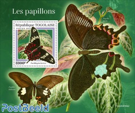 Butterflies