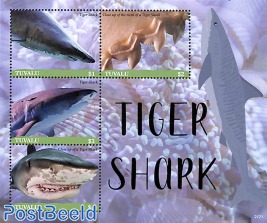 Tiger shark 4v m/s