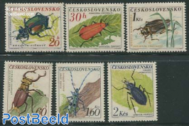 Insects, beetles 6v