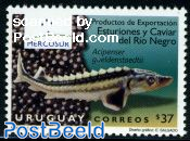 Fish, Mercosur 1v