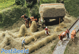 Hay-harvest