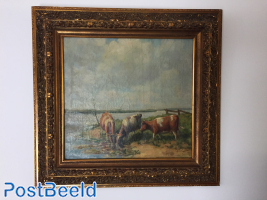 A.F. Slijkanis, Cows on the waterside (54x57cm)