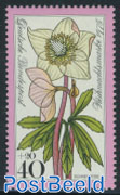 Christmas/flower 1v