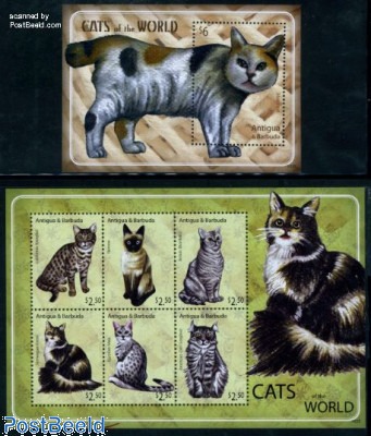 Cats 7v (2 s/s)