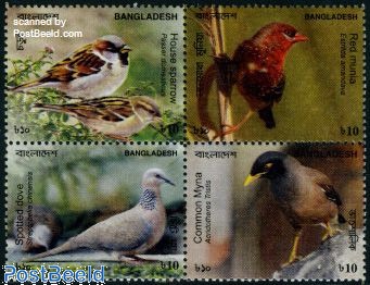 Birds 4v [+]