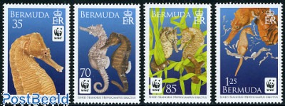 WWF, Sea horses 4v