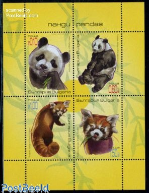 Panda bears 4v m/s