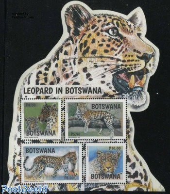 Leopards s/s