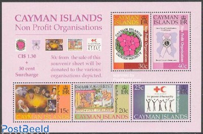 Non profit organisations s/s