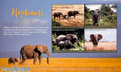 Elephants 4v m/s
