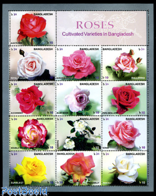 Roses 13v m/s
