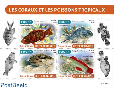 Corals and tropical fishes