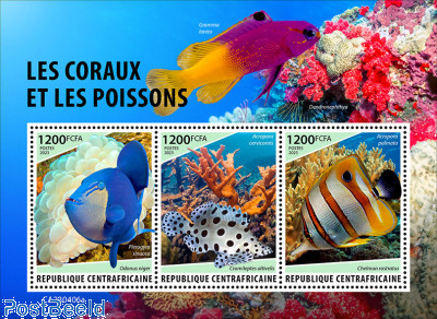 Corals and tropical fishes