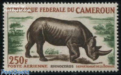 Rhinoceros 1v