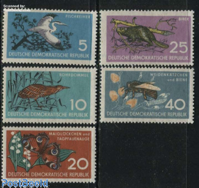 Animals 5v