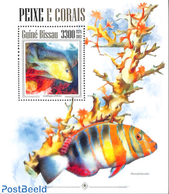 Fishes and corals