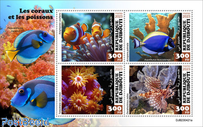 Corals and fishes