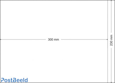 500 glassine bags 230x300mm