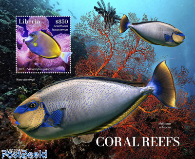 Coral reefs