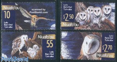 Owls 4v
