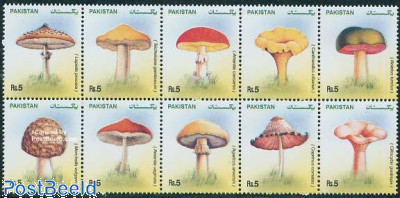 Mushrooms 10v [++++]
