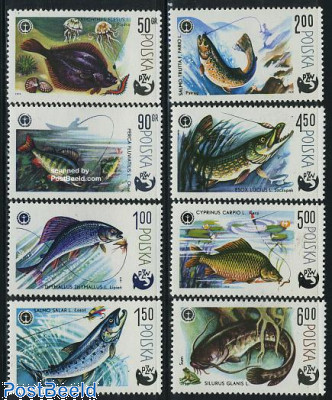Sport fishing 8v