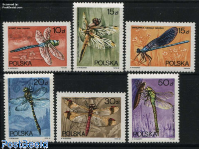 Dragonflies 6v