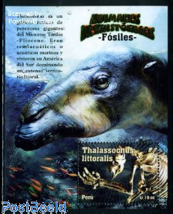 Thalassochus littoralis s/s