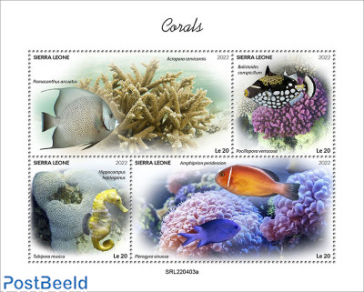 Corals