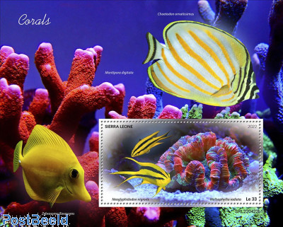 Corals
