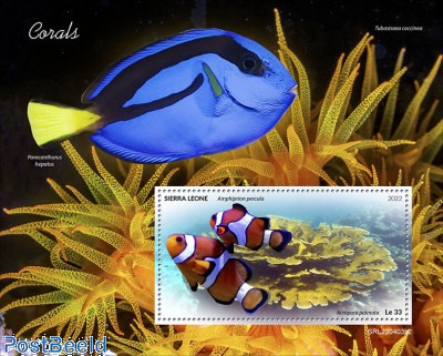 Corals